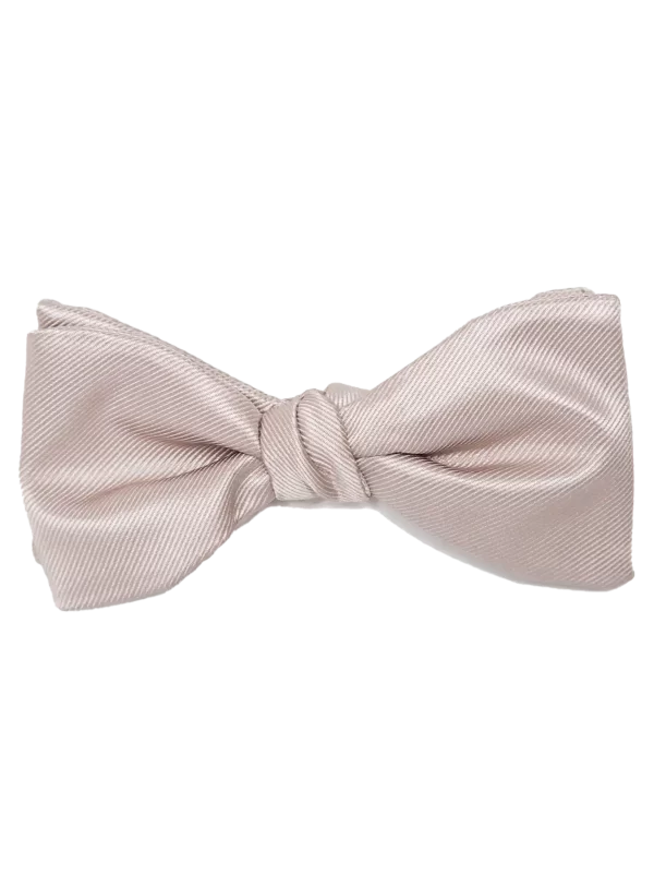 A modern solid biscotti bow tie