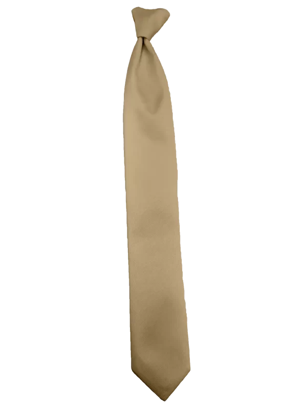 Modern Solid Taupe colored long tie